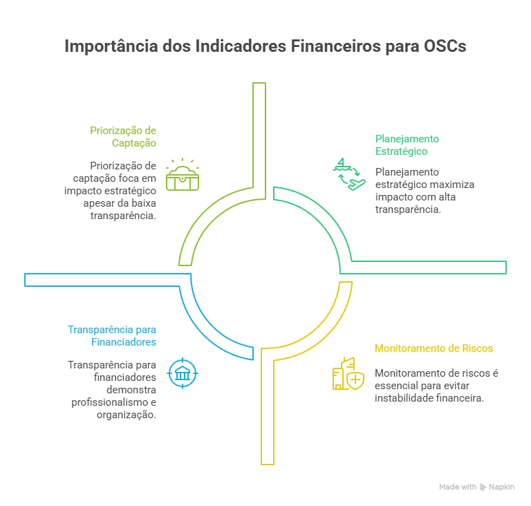 Importância dos indicadores financeiros para OSCs